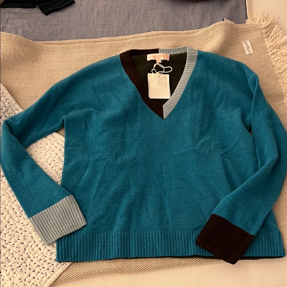 Lisa Todd Teal and Brown V-Neck Sweater